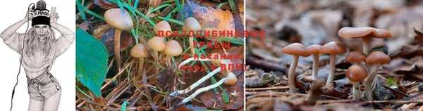 герыч Лихославль