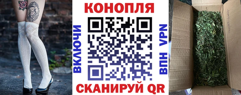 Каннабис сатива  дарнет шоп  Петровск-Забайкальский 